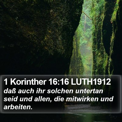 1 Korinther 16:16 LUTH1912 Bible Verse Image