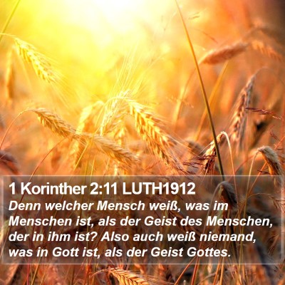 1 Korinther 2:11 LUTH1912 Bible Verse Image