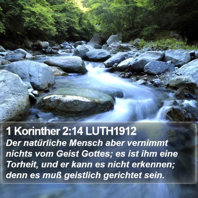 1 Korinther 2:14 LUTH1912 Bible Verse Image
