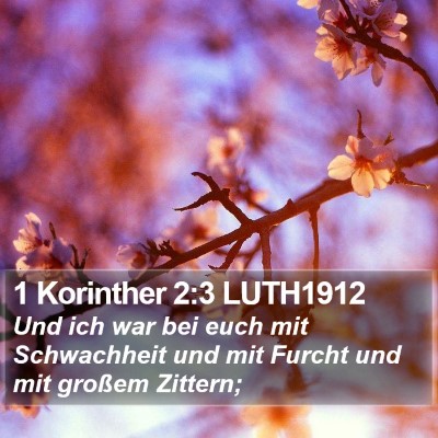 1 Korinther 2:3 LUTH1912 Bible Verse Image