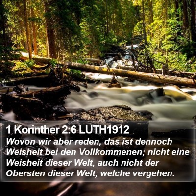 1 Korinther 2:6 LUTH1912 Bible Verse Image