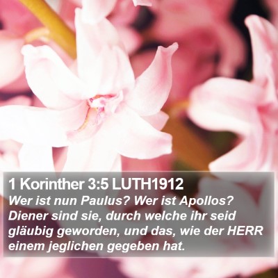 1 Korinther 3:5 LUTH1912 Bible Verse Image