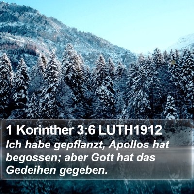 1 Korinther 3:6 LUTH1912 Bible Verse Image