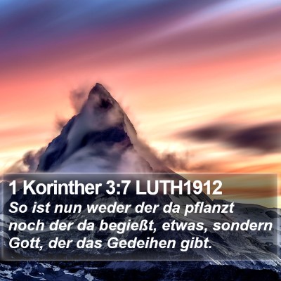 1 Korinther 3:7 LUTH1912 Bible Verse Image
