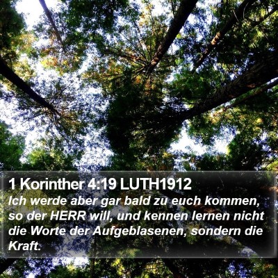 1 Korinther 4:19 LUTH1912 Bible Verse Image