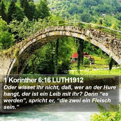 1 Korinther 6:16 LUTH1912 Bible Verse Image
