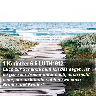 1 Korinther 6:5 LUTH1912 Bible Verse Image