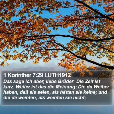 1 Korinther 7:29 LUTH1912 Bible Verse Image