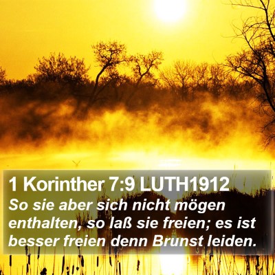 1 Korinther 7:9 LUTH1912 Bible Verse Image
