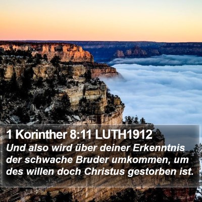 1 Korinther 8:11 LUTH1912 Bible Verse Image
