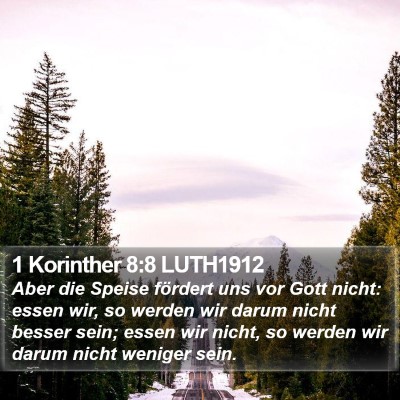 1 Korinther 8:8 LUTH1912 Bible Verse Image
