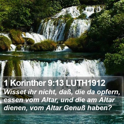 1 Korinther 9:13 LUTH1912 Bible Verse Image