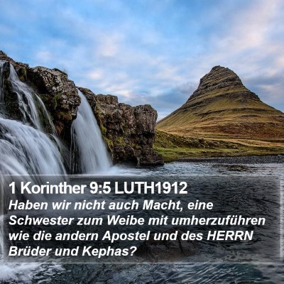1 Korinther 9:5 LUTH1912 Bible Verse Image