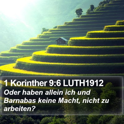 1 Korinther 9:6 LUTH1912 Bible Verse Image