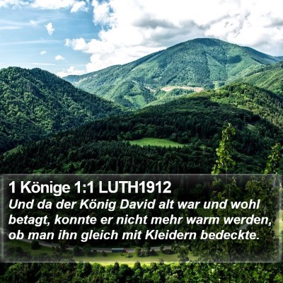 1 Könige 1:1 LUTH1912 Bible Verse Image
