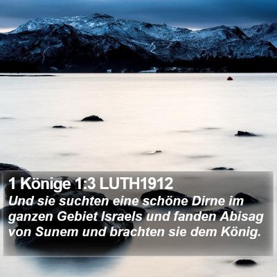 1 Könige 1:3 LUTH1912 Bible Verse Image
