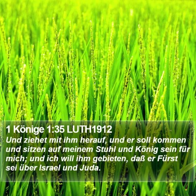 1 Könige 1:35 LUTH1912 Bible Verse Image