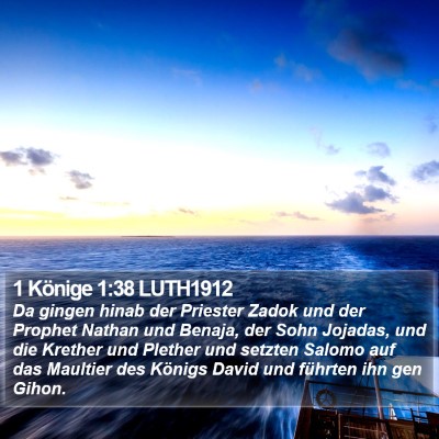 1 Könige 1:38 LUTH1912 Bible Verse Image