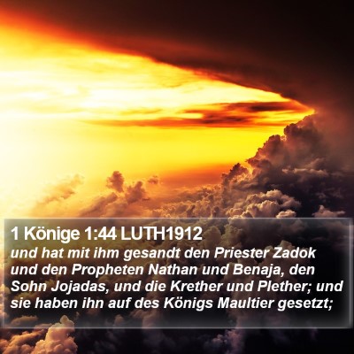 1 Könige 1:44 LUTH1912 Bible Verse Image