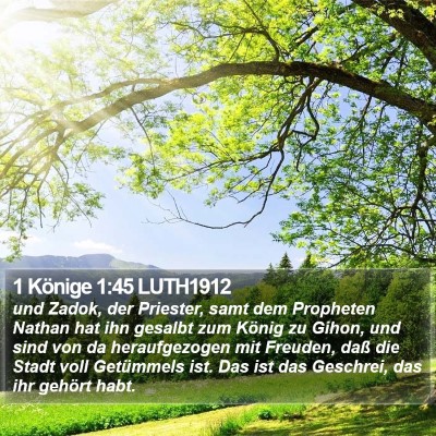 1 Könige 1:45 LUTH1912 Bible Verse Image
