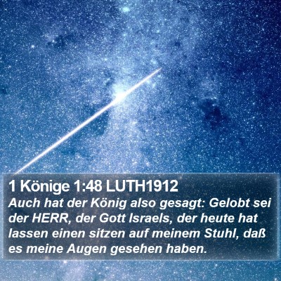 1 Könige 1:48 LUTH1912 Bible Verse Image