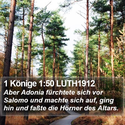 1 Könige 1:50 LUTH1912 Bible Verse Image