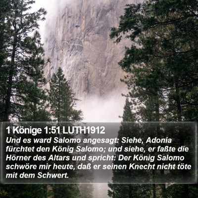 1 Könige 1:51 LUTH1912 Bible Verse Image