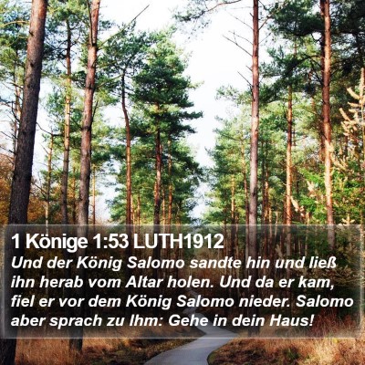 1 Könige 1:53 LUTH1912 Bible Verse Image