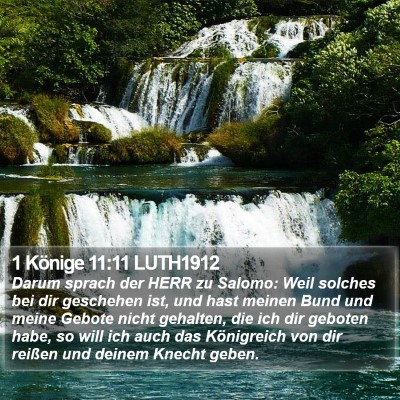 1 Könige 11:11 LUTH1912 Bible Verse Image