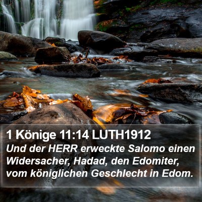 1 Könige 11:14 LUTH1912 Bible Verse Image