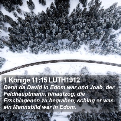1 Könige 11:15 LUTH1912 Bible Verse Image