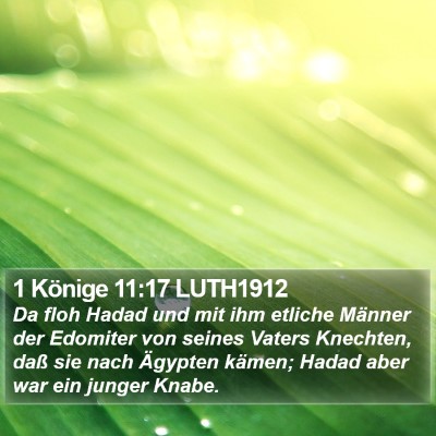 1 Könige 11:17 LUTH1912 Bible Verse Image