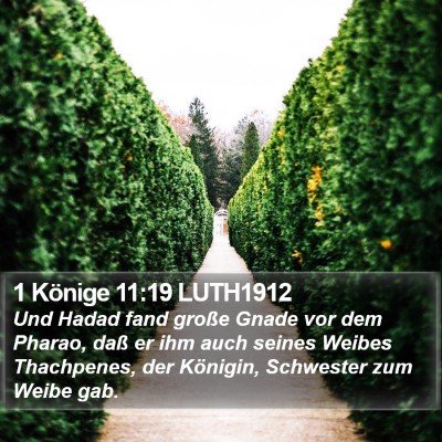 1 Könige 11:19 LUTH1912 Bible Verse Image