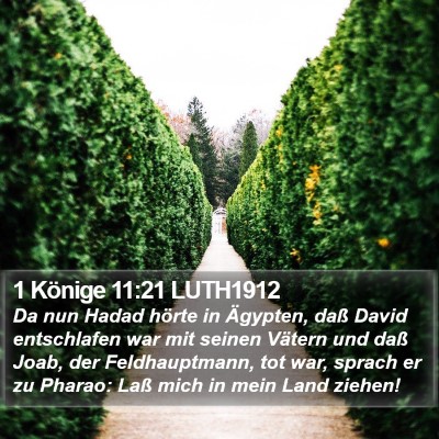 1 Könige 11:21 LUTH1912 Bible Verse Image