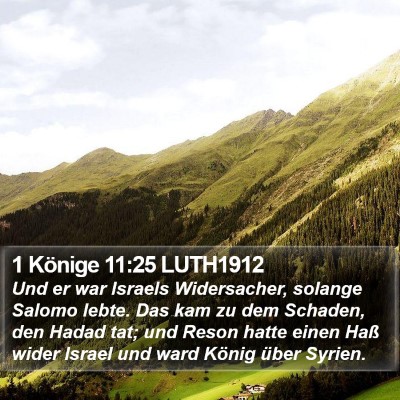 1 Könige 11:25 LUTH1912 Bible Verse Image