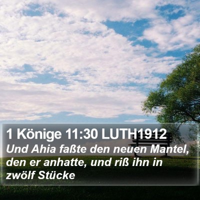 1 Könige 11:30 LUTH1912 Bible Verse Image