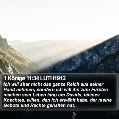 1 Könige 11:34 LUTH1912 Bible Verse Image