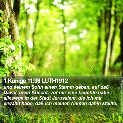 1 Könige 11:36 LUTH1912 Bible Verse Image