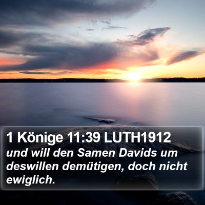 1 Könige 11:39 LUTH1912 Bible Verse Image