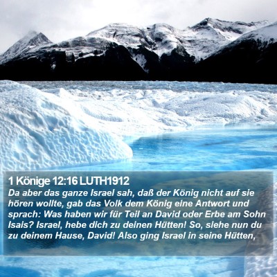 1 Könige 12:16 LUTH1912 Bible Verse Image