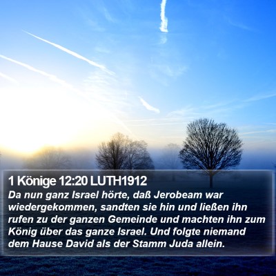 1 Könige 12:20 LUTH1912 Bible Verse Image