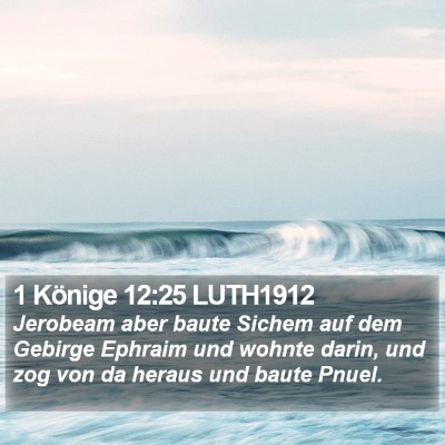1 Könige 12:25 LUTH1912 Bible Verse Image