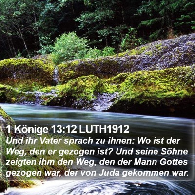 1 Könige 13:12 LUTH1912 Bible Verse Image