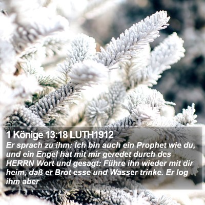 1 Könige 13:18 LUTH1912 Bible Verse Image