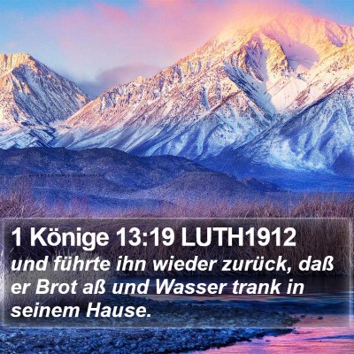 1 Könige 13:19 LUTH1912 Bible Verse Image