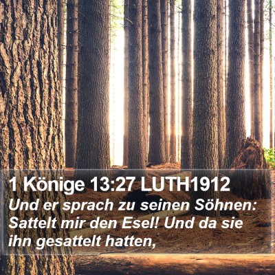 1 Könige 13:27 LUTH1912 Bible Verse Image