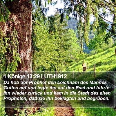 1 Könige 13:29 LUTH1912 Bible Verse Image