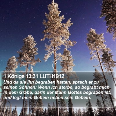 1 Könige 13:31 LUTH1912 Bible Verse Image
