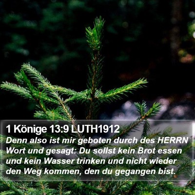 1 Könige 13:9 LUTH1912 Bible Verse Image