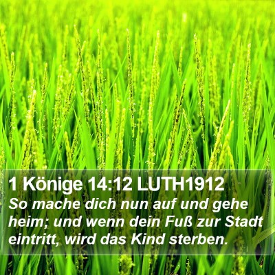 1 Könige 14:12 LUTH1912 Bible Verse Image